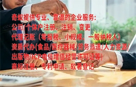 宁夏<a href='https://qf.qiyiqifu.cn/'>公司变更</a>代办详解收费标准
 
一、文章目录
1. 宁夏<a href='https://qf.qiyiqifu.cn/'>公司变更</a>代办的必要性及