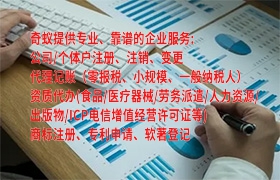  江苏省<a href='https://qf.qiyiqifu.cn/'>审计报告</a>解析及我公司服务优势浅析