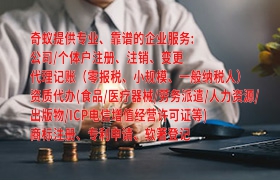  山东<a href='https://qf.qiyiqifu.cn/'>审计报告</a>代办服务优势全解析